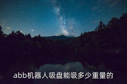abb機器人吸盤能吸多少重量的