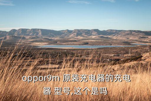  oppor9m 原裝充電器的充電器 型號,這個是嗎
