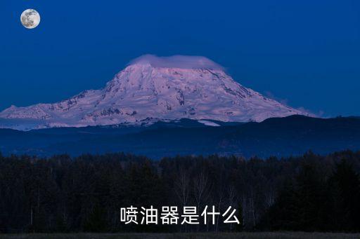 噴油器是什么