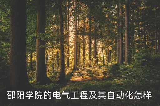 邵陽學院的電氣工程及其自動化怎樣