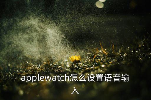 applewatch怎么設(shè)置語音輸入