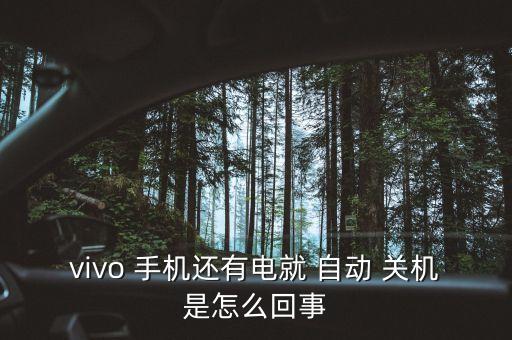 vivo 手機(jī)還有電就 自動 關(guān)機(jī)是怎么回事