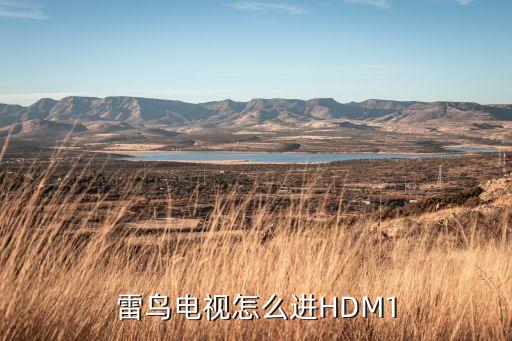 雷鳥電視怎么進(jìn)HDM1