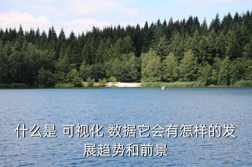 什么是 可視化 數(shù)據(jù)它會有怎樣的發(fā)展趨勢和前景