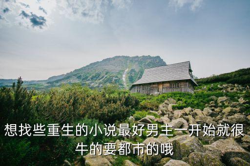 想找些重生的小說最好男主一開始就很牛的要都市的哦
