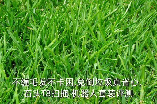 不纏毛發(fā)不卡困,免倒垃圾真省心, 石頭T8掃拖 機器人套裝評測