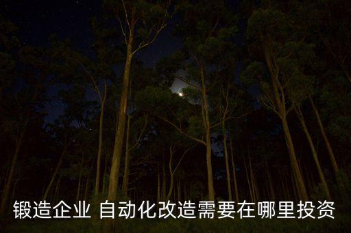 鍛造企業(yè) 自動化改造需要在哪里投資