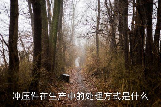 沖壓件在生產(chǎn)中的處理方式是什么