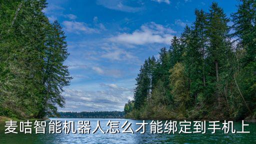 麥咭智能機(jī)器人怎么才能綁定到手機(jī)上