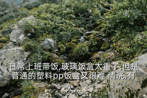 自動(dòng)化清洗餐盒設(shè)備有哪些