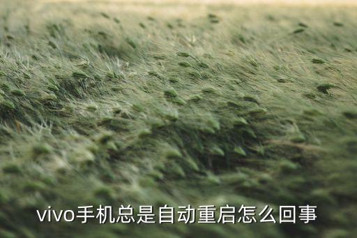 find7總自動重,手機老愛自動重啟怎么回事?