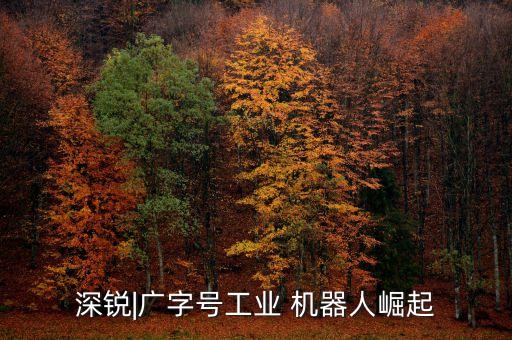 深銳|廣字號工業(yè) 機(jī)器人崛起