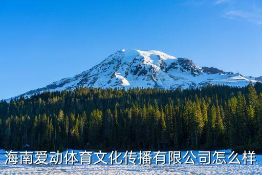 海南愛動體育文化傳播有限公司怎么樣