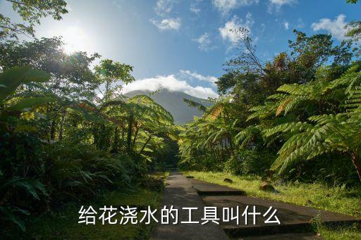 花園自動(dòng)化澆水設(shè)備,代代發(fā)自動(dòng)澆水控制器怎么制作?