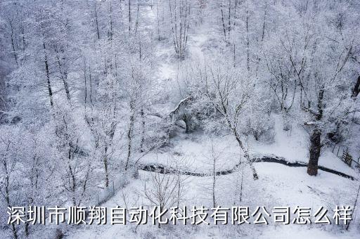 深圳市順翔自動(dòng)化科技有限公司怎么樣