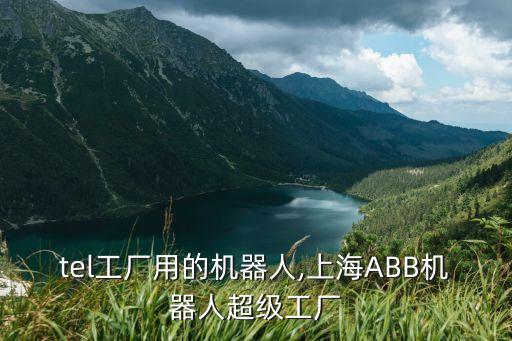 intel工廠用的機(jī)器人,上海ABB機(jī)器人超級(jí)工廠
