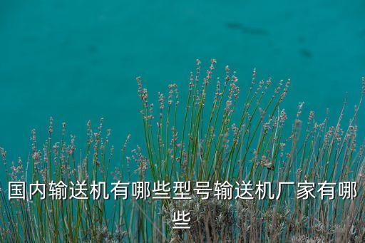 國內(nèi)輸送機(jī)有哪些型號(hào)輸送機(jī)廠家有哪些