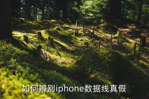 蘋果七數(shù)據(jù)線真?zhèn)?如何辨別蘋果手機(jī)數(shù)據(jù)線真?zhèn)?