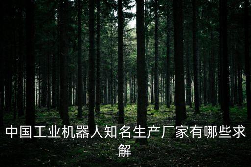 中國(guó)工業(yè)機(jī)器人知名生產(chǎn)廠家有哪些求解