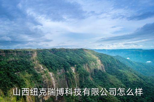  山西紐克瑞博科技有限公司怎么樣