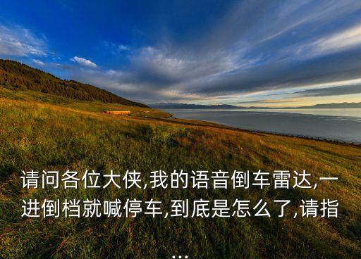 請問各位大俠,我的語音倒車雷達,一進倒檔就喊停車,到底是怎么了,請指...