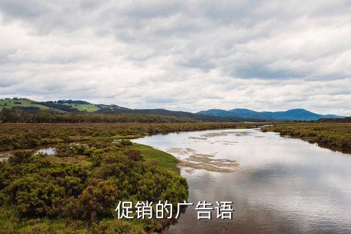 促銷的廣告語