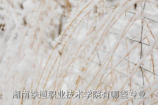 湖南鐵道職業(yè)技術(shù)學(xué)院有哪些專業(yè)