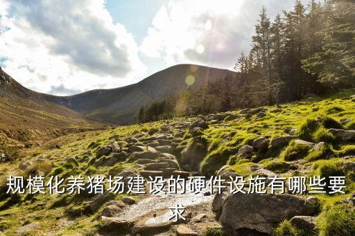 美國自動(dòng)化設(shè)備養(yǎng)豬,自動(dòng)化養(yǎng)豬設(shè)備有哪些?