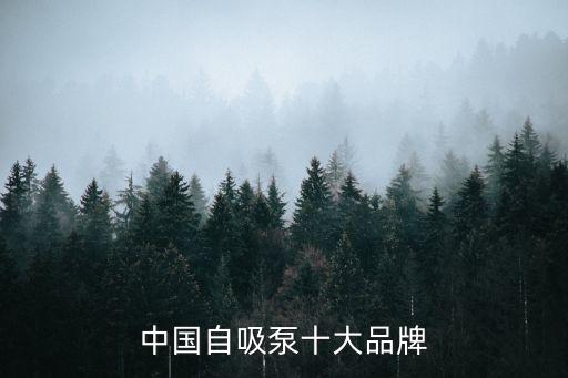 中國自吸泵十大品牌