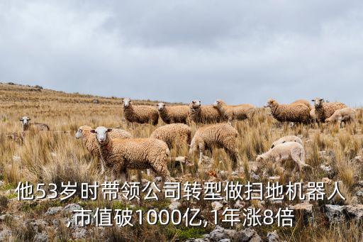 他53歲時(shí)帶領(lǐng)公司轉(zhuǎn)型做掃地機(jī)器人,市值破1000億,1年漲8倍