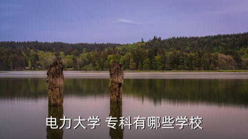 電力大學(xué) ?？朴心男W(xué)校