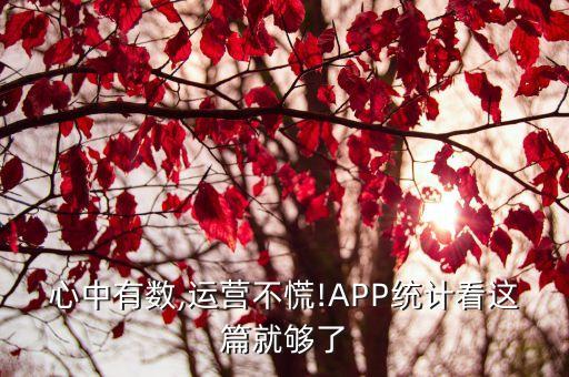 app運營數(shù)據(jù)分析,如何做好app軟件數(shù)據(jù)分析和運營?