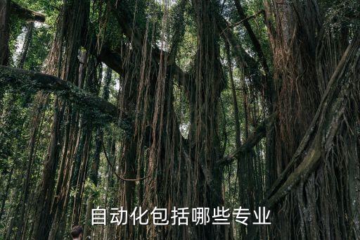 自動化包括哪些專業(yè)