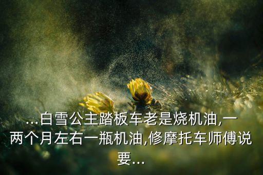 空機(jī)油瓶做機(jī)器人圖,蘇寧易購買幾瓶機(jī)油一兩個(gè)月一瓶并不都