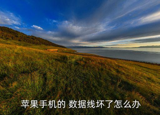  蘋(píng)果手機(jī)的 數(shù)據(jù)線(xiàn)壞了怎么辦
