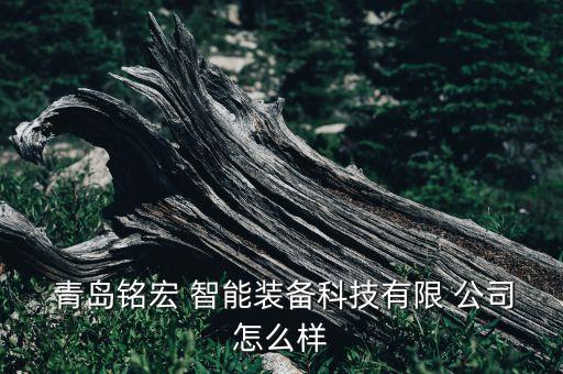  青島銘宏 智能裝備科技有限 公司怎么樣