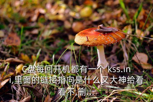 C盤每回開機(jī)都有一個(gè) kss.ini,里面的鏈接指向是什么又大神給看看不,刪...