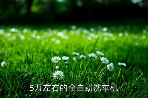 自動(dòng)化清洗清潔設(shè)備牛