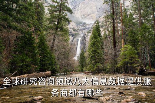 全球研究咨詢領(lǐng)域八大信息數(shù)據(jù)提供服務(wù)商都有哪些