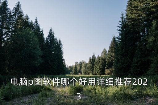 電腦p圖軟件哪個(gè)好用詳細(xì)推薦2023