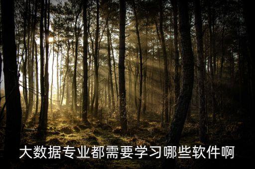 大數(shù)據(jù)專業(yè)都需要學(xué)習(xí)哪些軟件啊