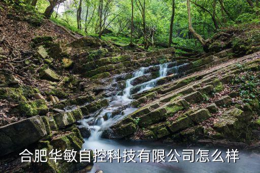 合肥華敏自控科技有限公司怎么樣