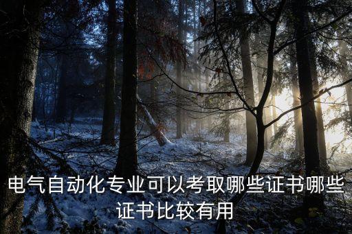 電氣自動(dòng)化專(zhuān)業(yè)可以考取哪些證書(shū)哪些證書(shū)比較有用