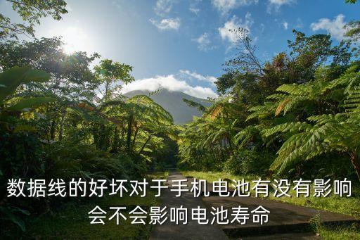 數(shù)據(jù)線的好壞對于手機電池有沒有影響會不會影響電池壽命
