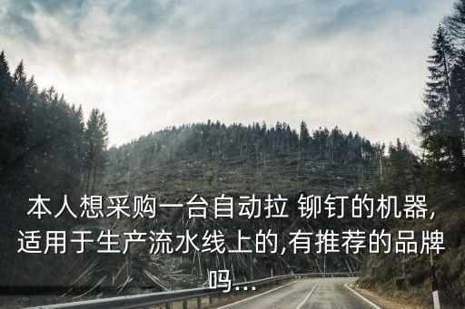 本人想采購(gòu)一臺(tái)自動(dòng)拉 鉚釘?shù)臋C(jī)器,適用于生產(chǎn)流水線上的,有推薦的品牌嗎...