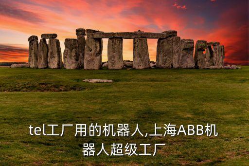 tel工廠用的機器人,上海ABB機器人超級工廠