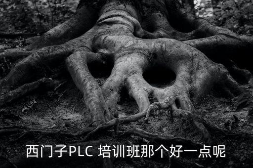 西門子PLC 培訓班那個好一點呢