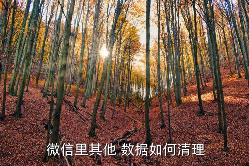  微信里其他 數(shù)據(jù)如何清理