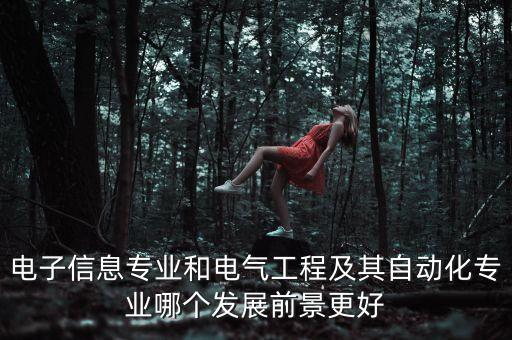 電子信息專業(yè)和電氣工程及其自動化專業(yè)哪個發(fā)展前景更好