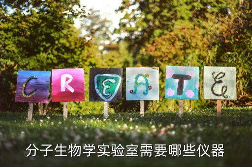 分子生物學(xué)實(shí)驗(yàn)室需要哪些儀器